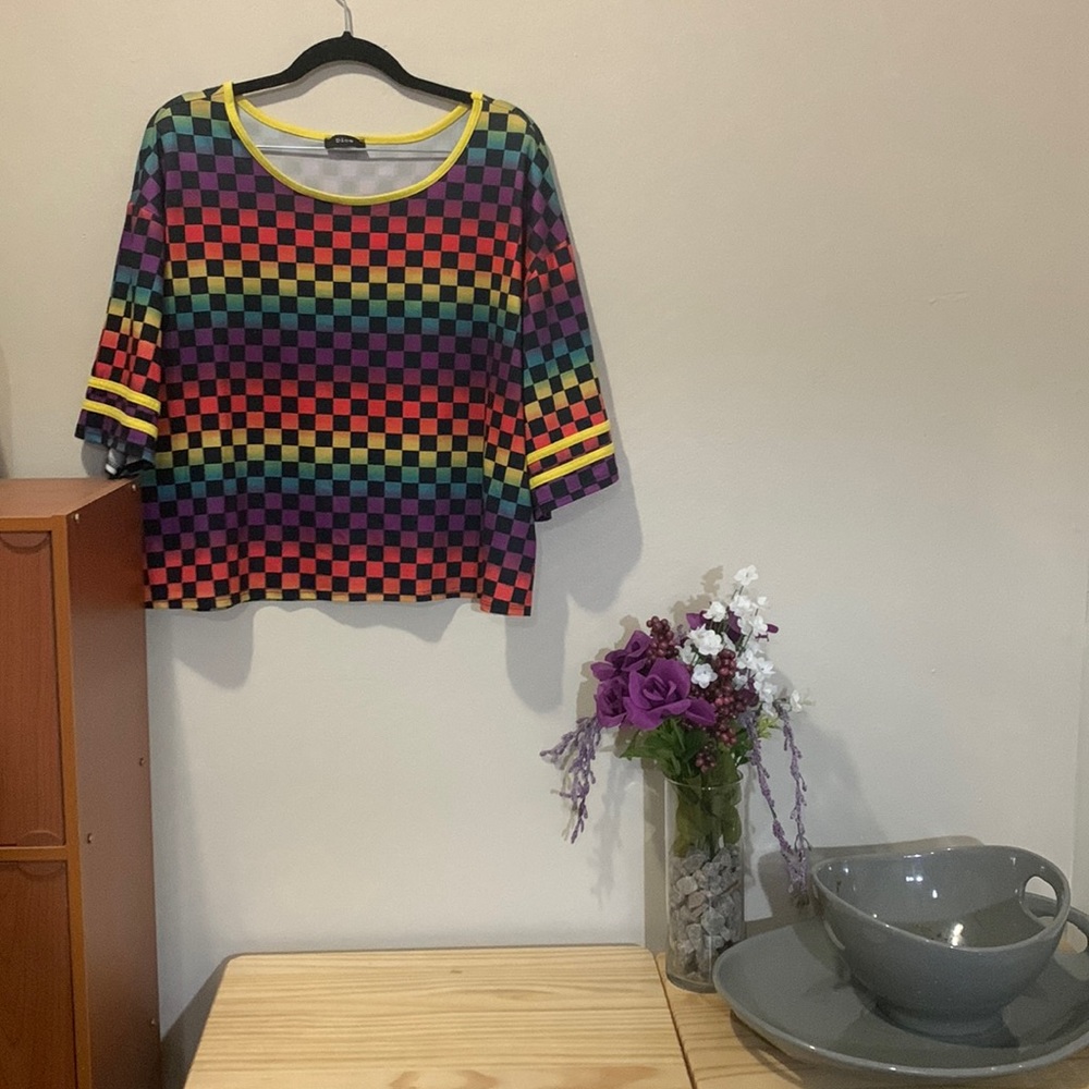 Rainbow checked crop top